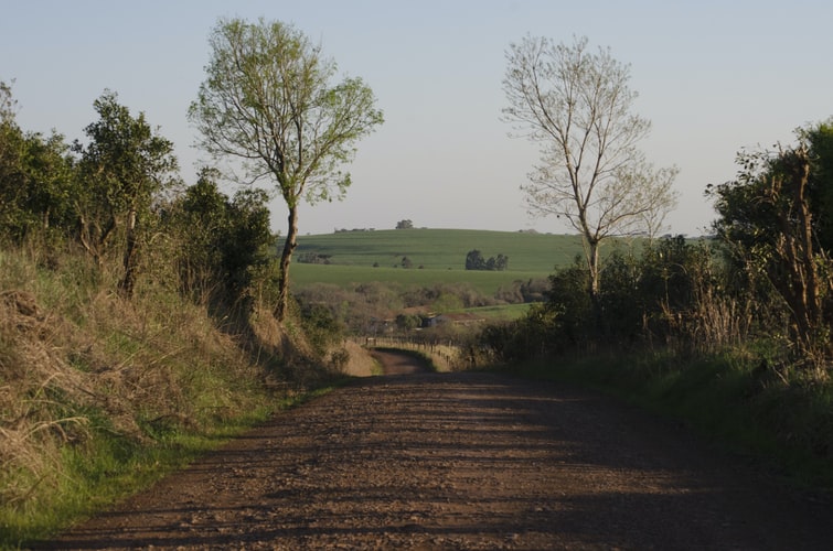 SEZONA POLJOPRIVREDNIH RADOVA Krenulo uređenje poljskih putova