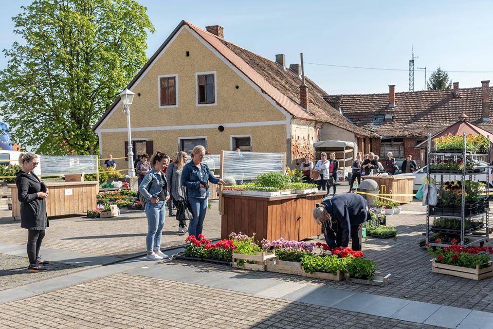 DOBRE BROJKE Čazma među rijetkim gradovima s godišnjim padom nezaposlenosti