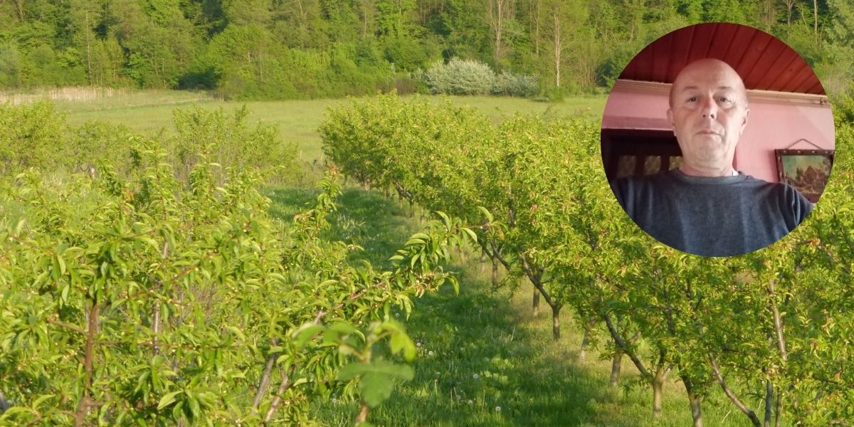 Berečanin krave zamijenio voćkama i nije požalio