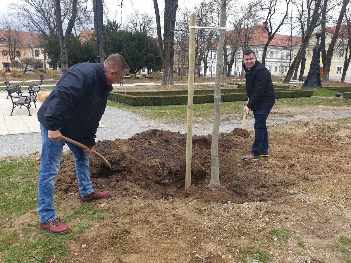 U parku zasađeni potomci kestena 'starosjedilaca'