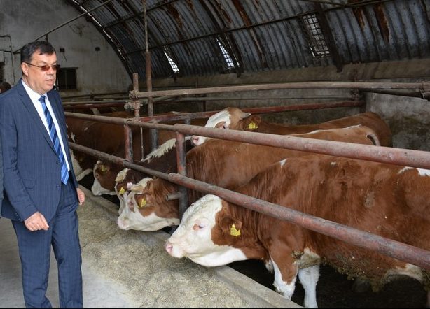 Laž i obmane Damira Bajsa sastavni su dio kampanje, a osam godina čekamo da mu kažemo što nas tišti