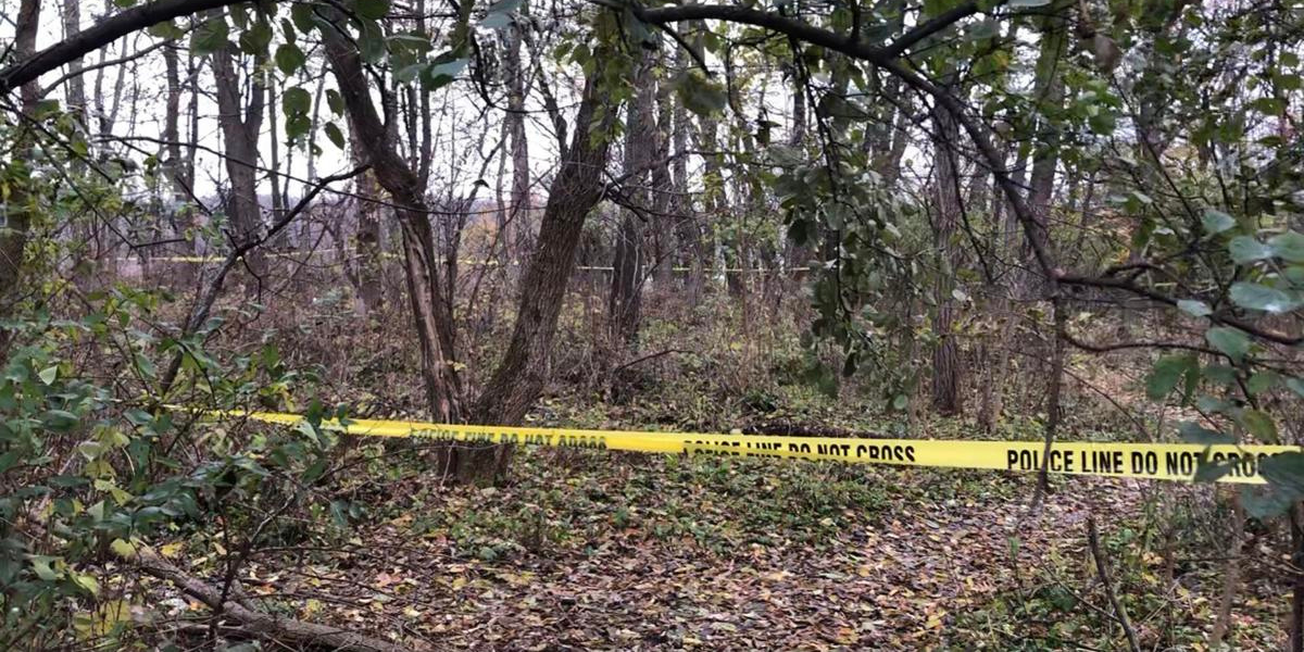 U Boboti kod Vukovara pronađeni posmrtni ostaci najmanje pet osoba