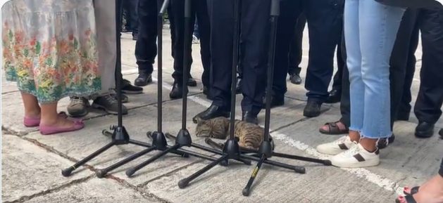 VIDEO Priča o mački i premijeru ili savršen suživot na press konferenciji