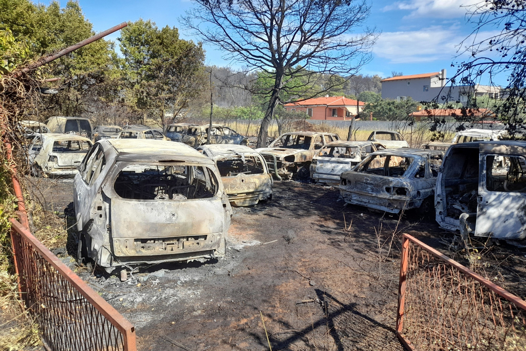 Požar 'progutao' šumu, kamp prikolice, kućice…