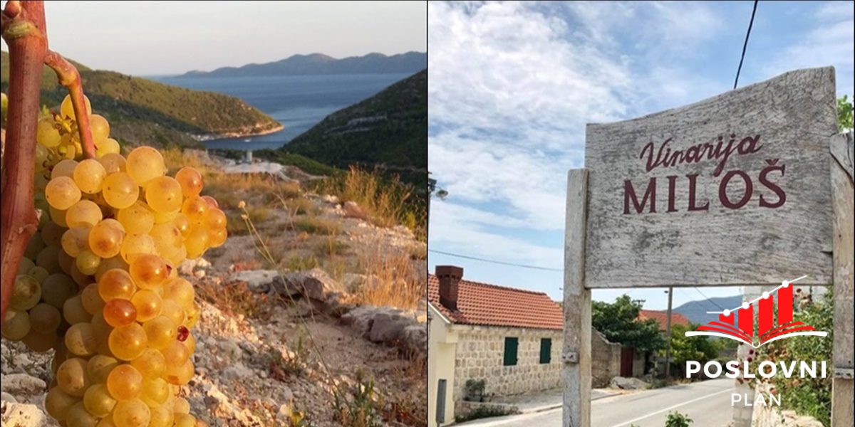 Pelješki vinari zadovoljno trljaju ruke, ovo je glavni razlog