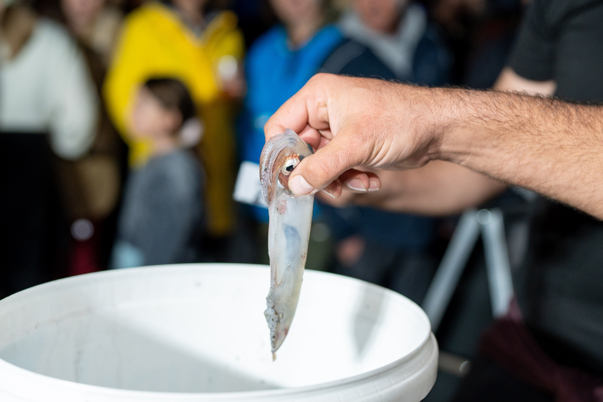 Crnilo kup odgođen na nedjelju zbog vremenskih neprilika