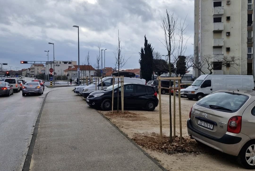 Zadar dobio novi drvored kostela u Ulici Ante Starčevića