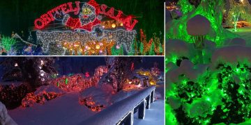 5,6 milijuna lampica ove godine sjaji za najveću blagdansku čaroliju do sada