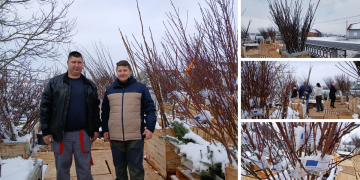 Farmaceutska tehničarka zaljubila se u prirodu: Danas prodaje 30-ak sorti voćki