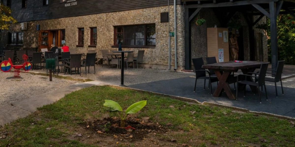 Neočekivano iznenađenje: Pogledajte što niče tik uz poznati planinarski dom