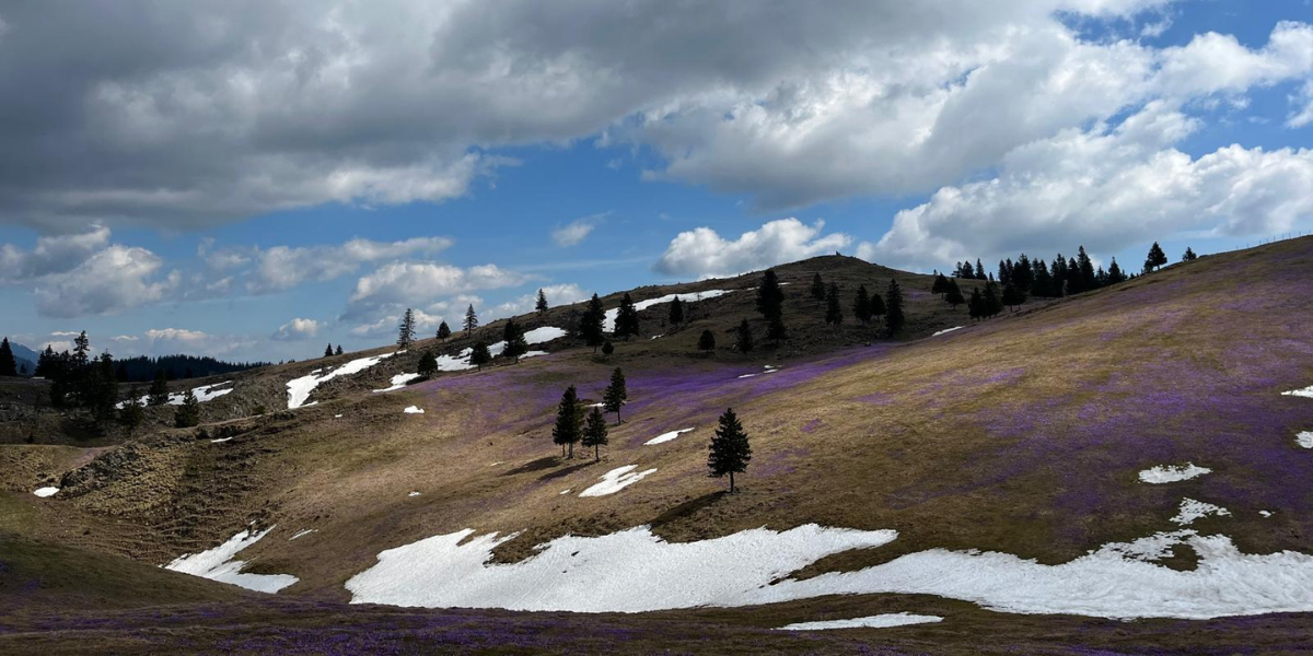 Kamo za vikend? Na svega tri sata vožnje od Zagreba smještana je ova čarobna ljubičasta planina