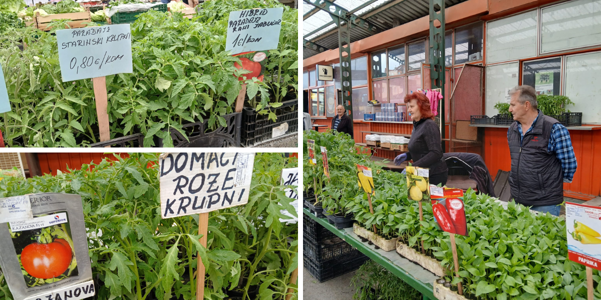 Teška sezona za flance, znači li to da ćemo ih plaćati više?