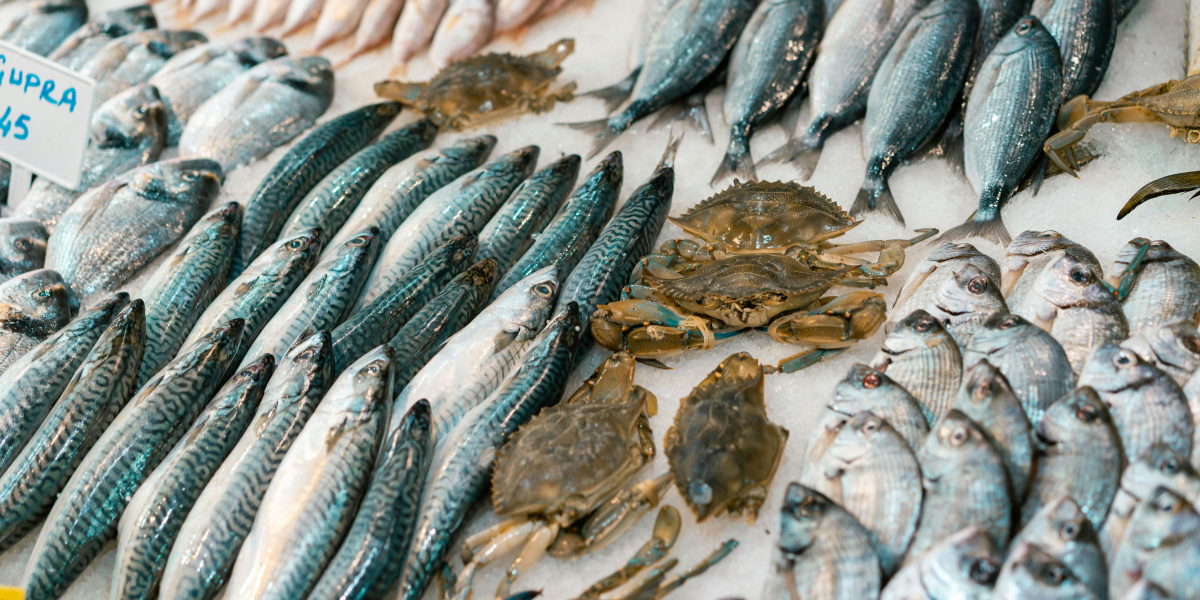 Od papalina do luksuza: Provjerili smo koliko košta riba ove godine!