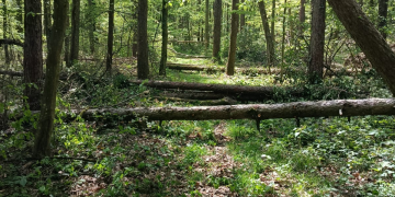 Iz šumarije poručuju: Izbjegavajte ove planinarske staze radi vlastite sigurnosti