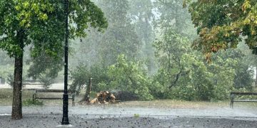 UPRAVO! Snažno nevrijeme pogodilo grad, u parku palo drvo