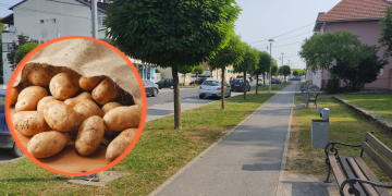 Ljubitelji krumpira, ovo je vaš vikend: Stiže prava fešta, evo gdje vas čeka junetina s ražnja, ali i Klapa Rišpet!