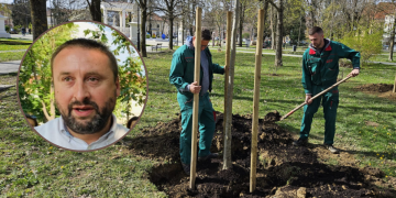 Pasje vrućine otvorile goruće pitanje: Ima li Bjelovar dovoljno hlada i zelenila? Evo što kaže dogradonačelnik Brajdić
