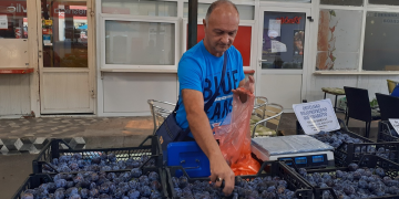 Šljive mu rodile kao lude, a onda su stigle ponude koje ga nisu ostavile ravnodušnim