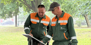 Ovo stablo skriva vrijednost koju možda nikada niste primijetili