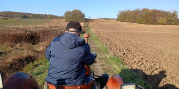 Država daje do 70 eura po hektaru za jesensku sjetvu, za program osigurano 10 milijuna eura