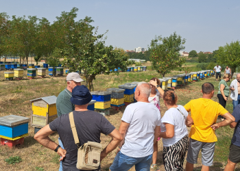 Naši pčelari otišli na Kosovo i ostali u čudu: Nećete vjerovati koliko tamo košta teglica meda!