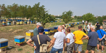 Naši pčelari otišli na Kosovo i ostali u čudu: Nećete vjerovati koliko tamo košta teglica meda!
