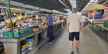 Planirate u shopping po voćne kraljice kasnog ljeta? Najbolja vijest je njihova cijena na tržnici