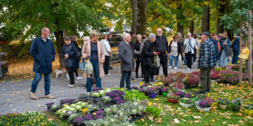 Ljubitelji cvijeća, sve je spremno: U Daruvar se vraća poznati sajam, a program je bogat
