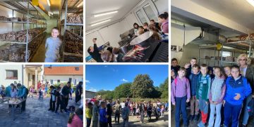 [FOTO] Pozdrav jeseni uz lješnjake, gljive i pčele: Školarci uživali u učenju izvan učionice